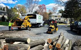 Lawn Grading and Leveling in Burton, MI